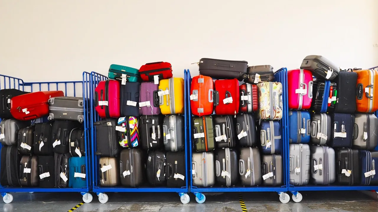 ewr baggage claim at terminals